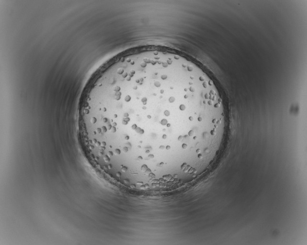 X0000112731028200909101446