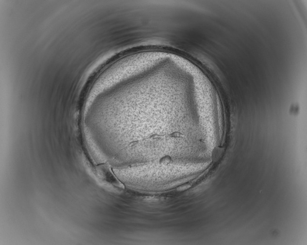 X0000112731029200909101446