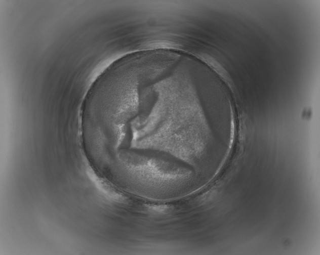 X0000112731031200909101446