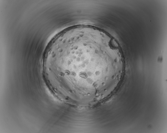 X0000112731032200909101446