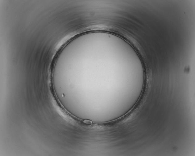 X0000112731034200909101446