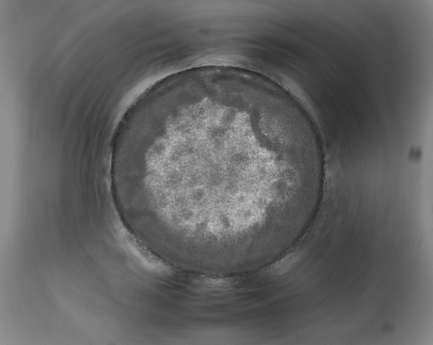 X0000112731035200909101446