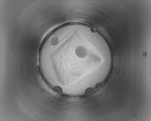 X0000112731036200909101446