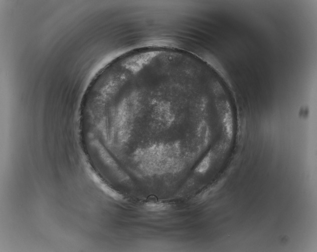 X0000112731037200909101447