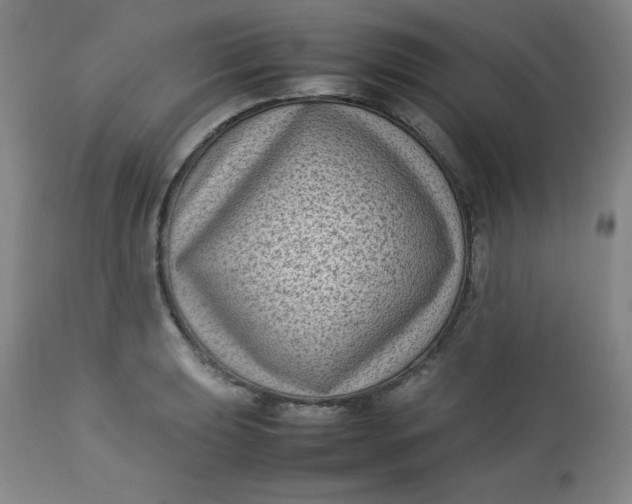 X0000112731039200909101447