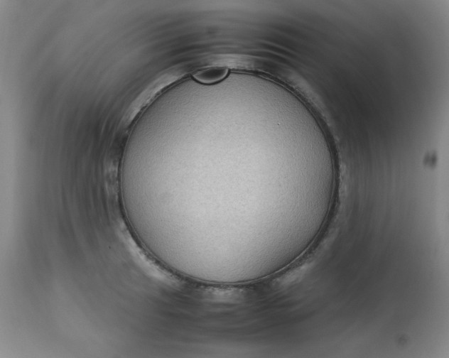 X0000112731041200909101447