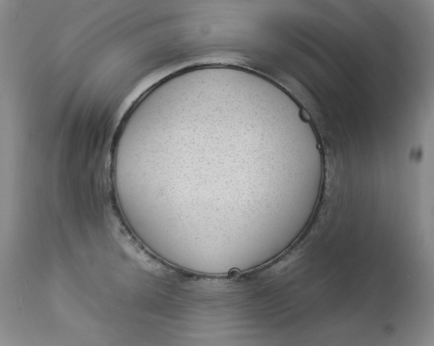 X0000112731044200909101447