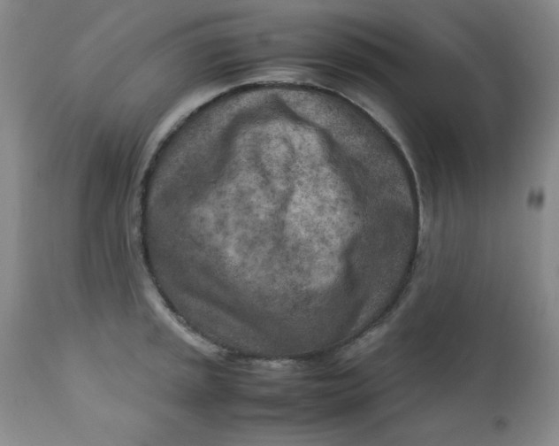 X0000112731045200909101447