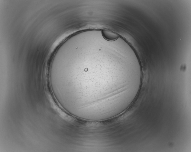 X0000112731046200909101447