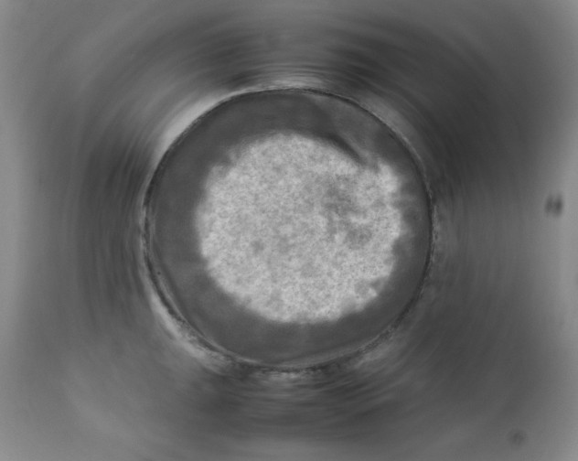 X0000112731047200909101447