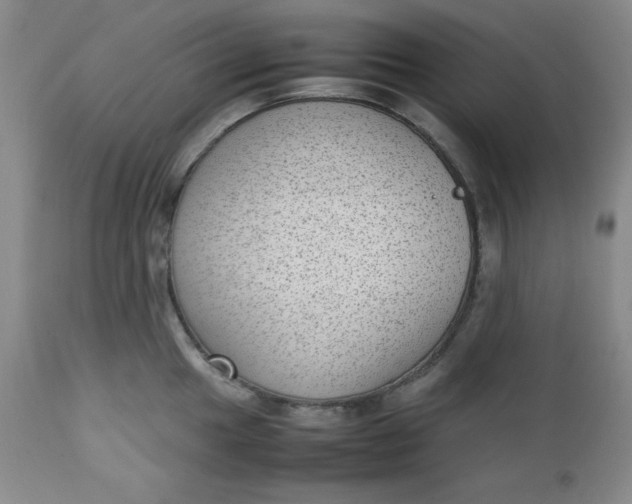 X0000112731049200909101447