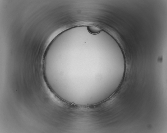 X0000112731050200909101447