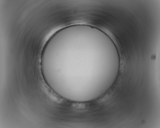 X0000112731051200909101447