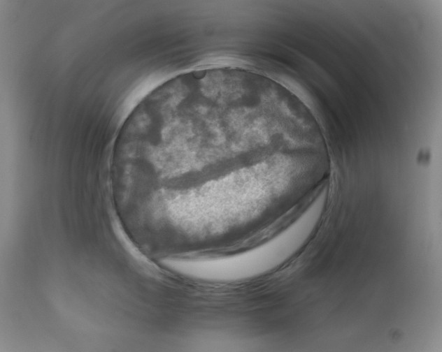 X0000112731055200909101447