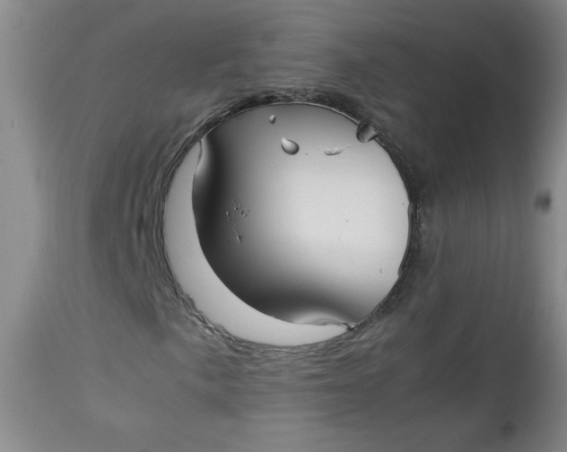 X0000112731057200909101446