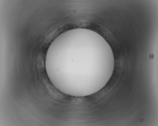 X0000112731058200909101446