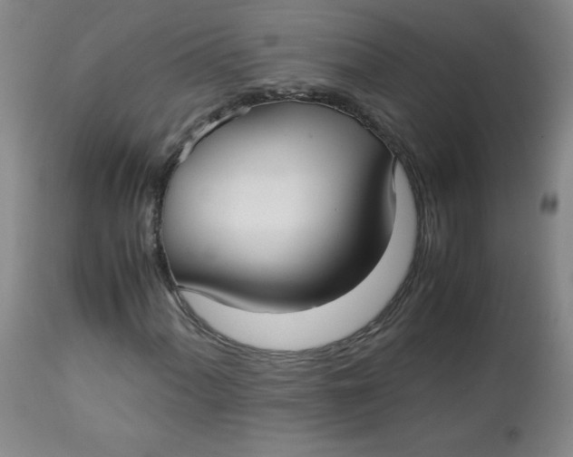 X0000112731060200909101446