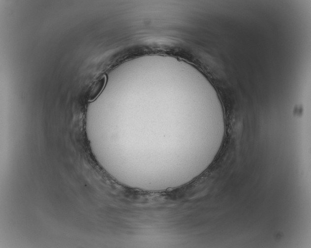 X0000112731061200909101446