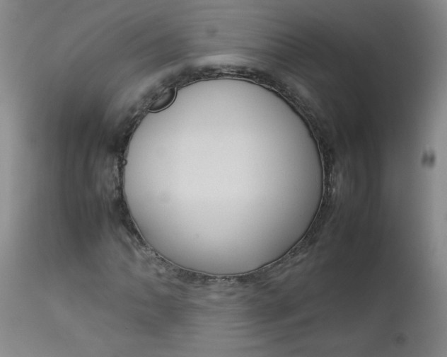 X0000112731062200909101446