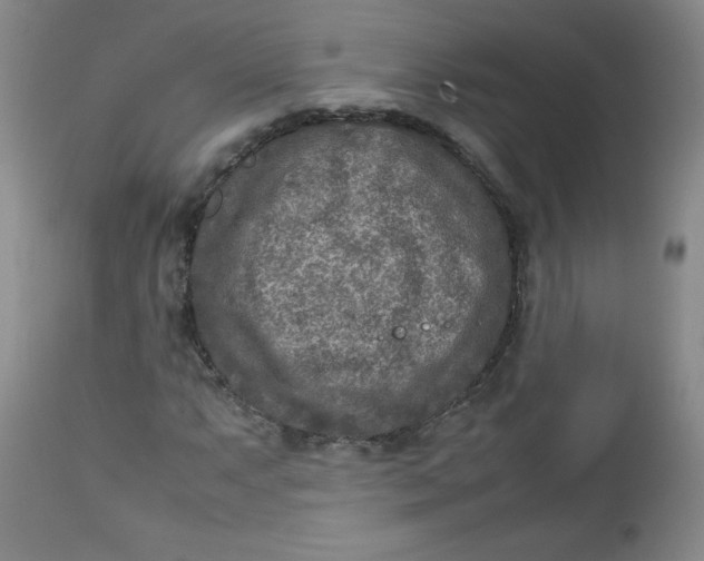 X0000112731063200909101446