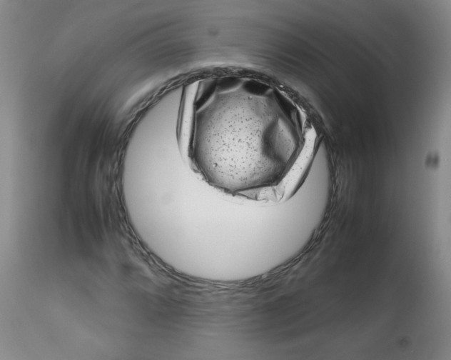 X0000112731064200909101446