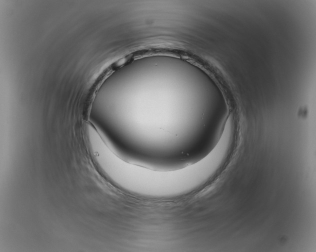 X0000112731065200909101446