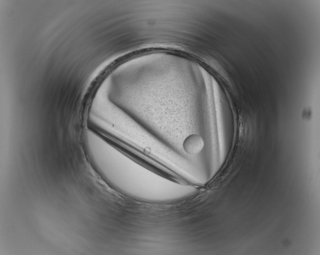 X0000112731068200909101446