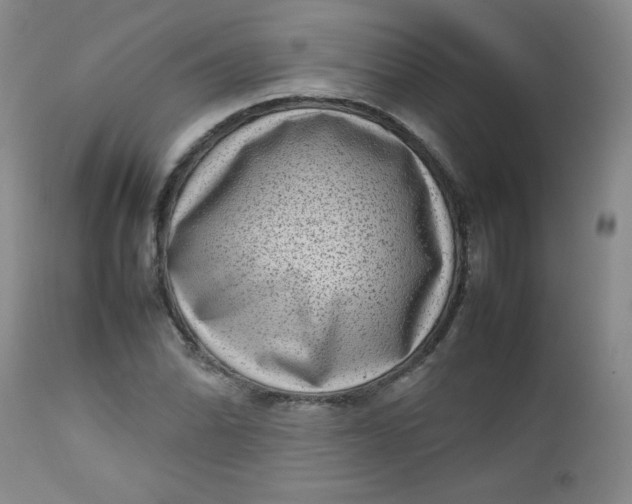 X0000112731070200909101446