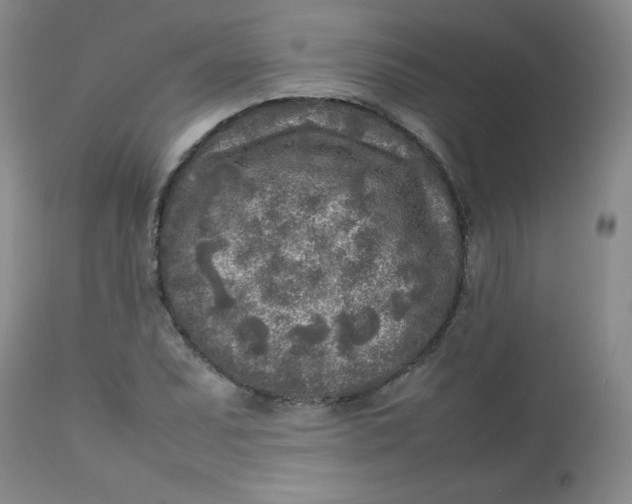 X0000112731071200909101446