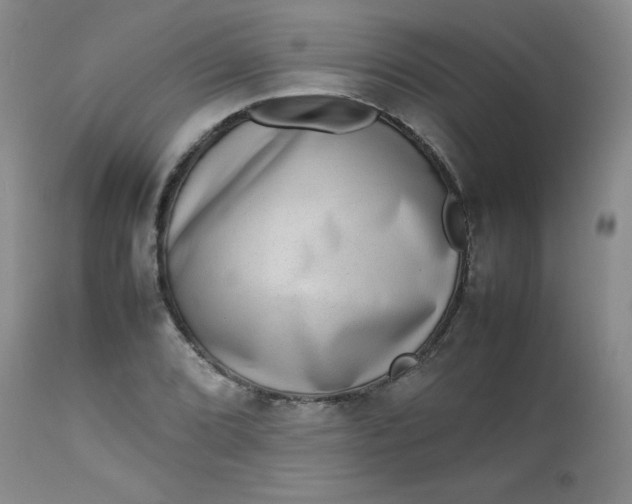 X0000112731072200909101446