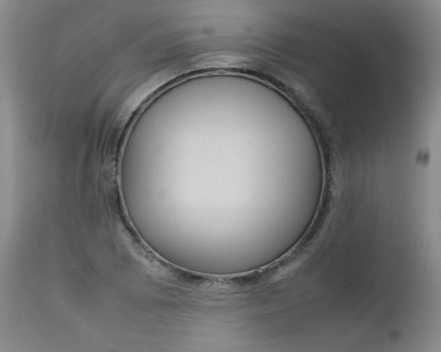 X0000112731073200909101446