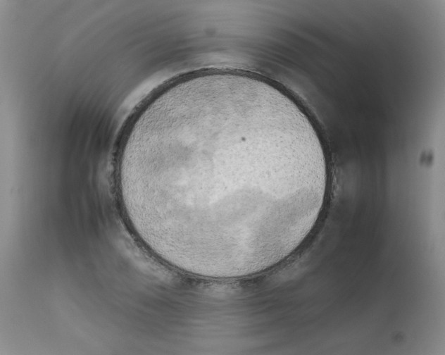 X0000112731074200909101446