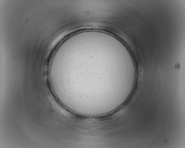 X0000112731075200909101446