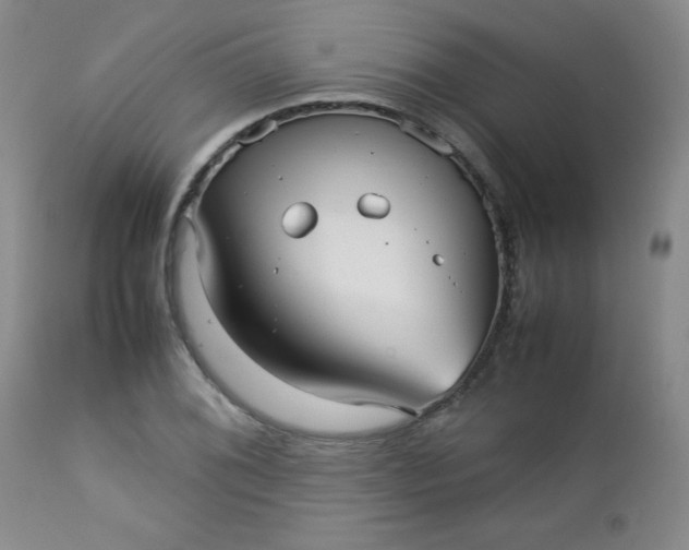 X0000112731076200909101445