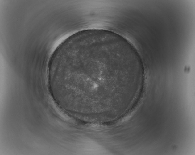 X0000112731077200909101445