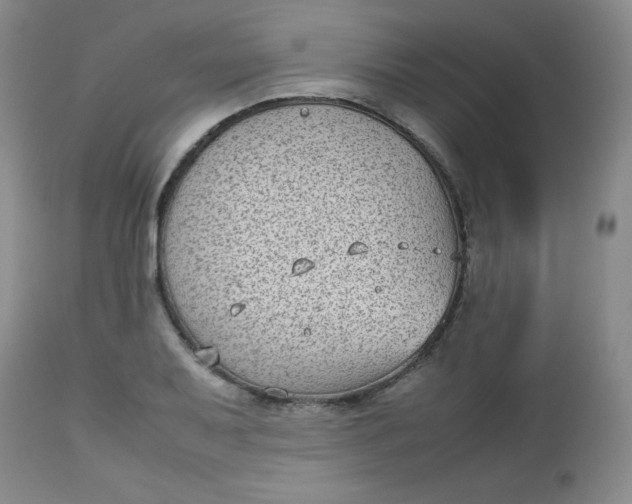 X0000112731079200909101445