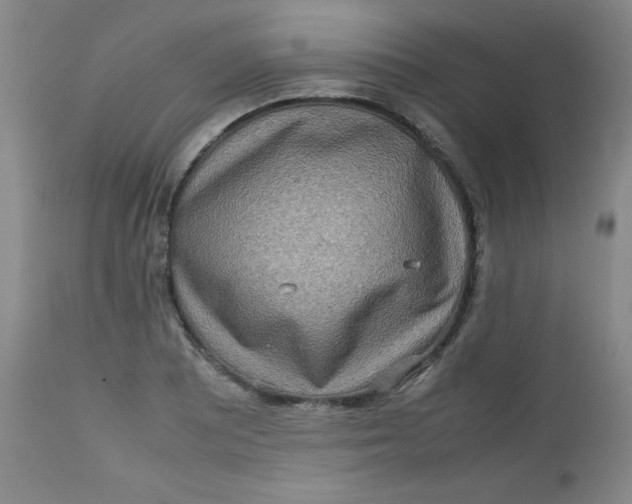 X0000112731081200909101445