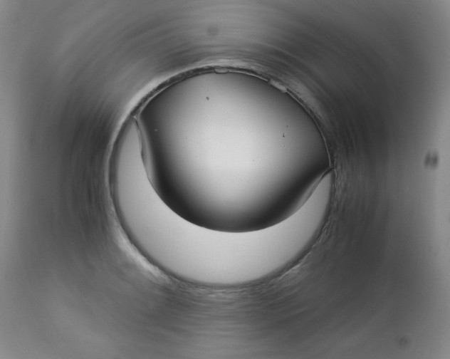 X0000112731084200909101445