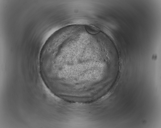 X0000112731087200909101445