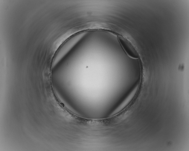 X0000112731089200909101445