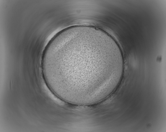 X0000112731091200909101445