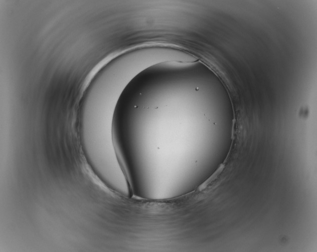 X0000112731092200909101445