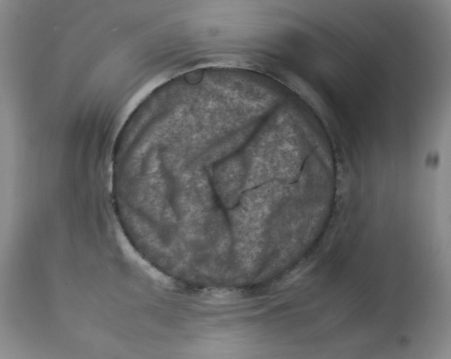 X0000112731095200909101445