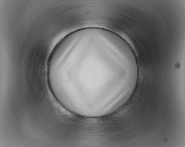 X0000112731096200909101445