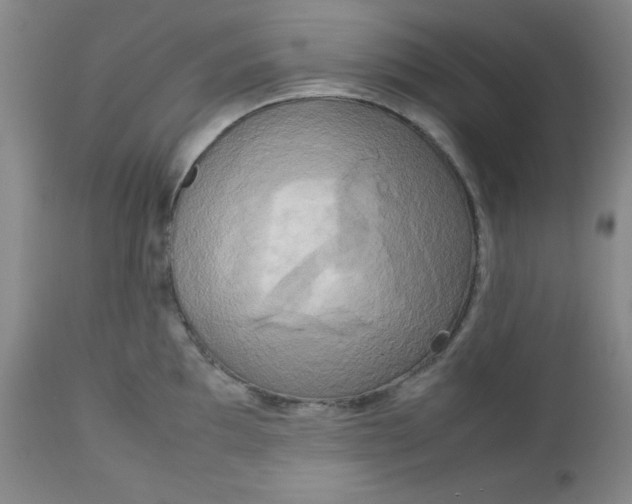 X0000112731097200909101445