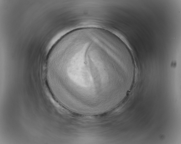 X0000112731101200909101445