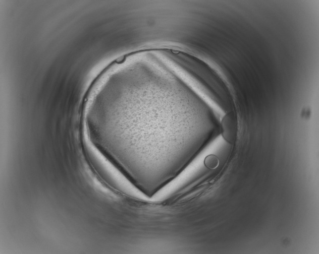 X0000112731102200909101445