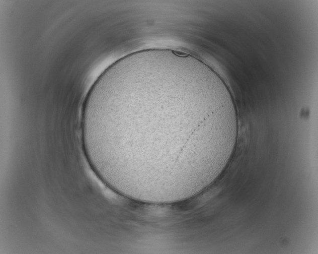 X0000112731103200909101445