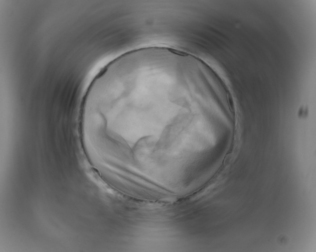 X0000112731104200909101445