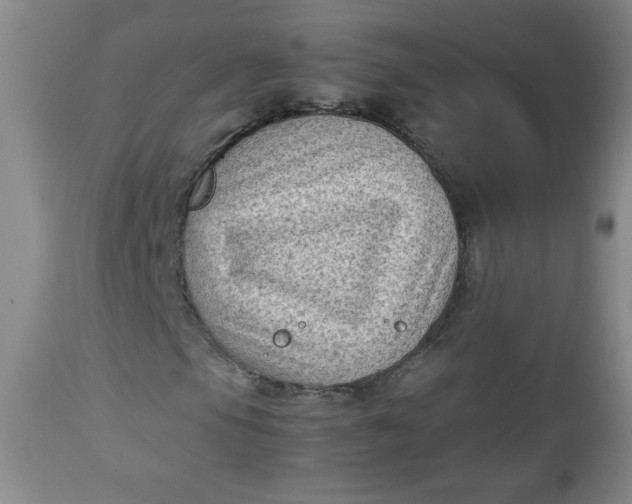 X0000112731105200909101444